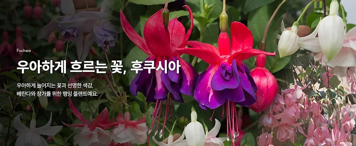 메인 배너 13