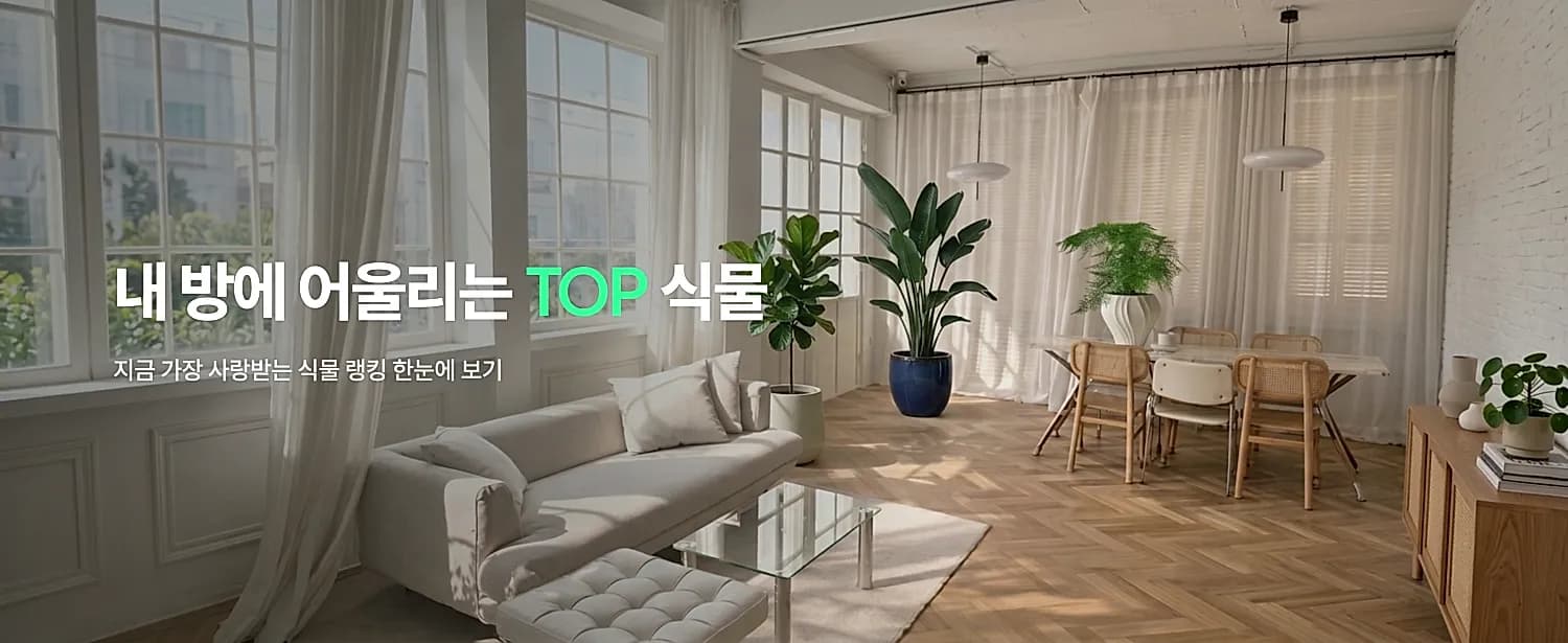 메인 배너 7