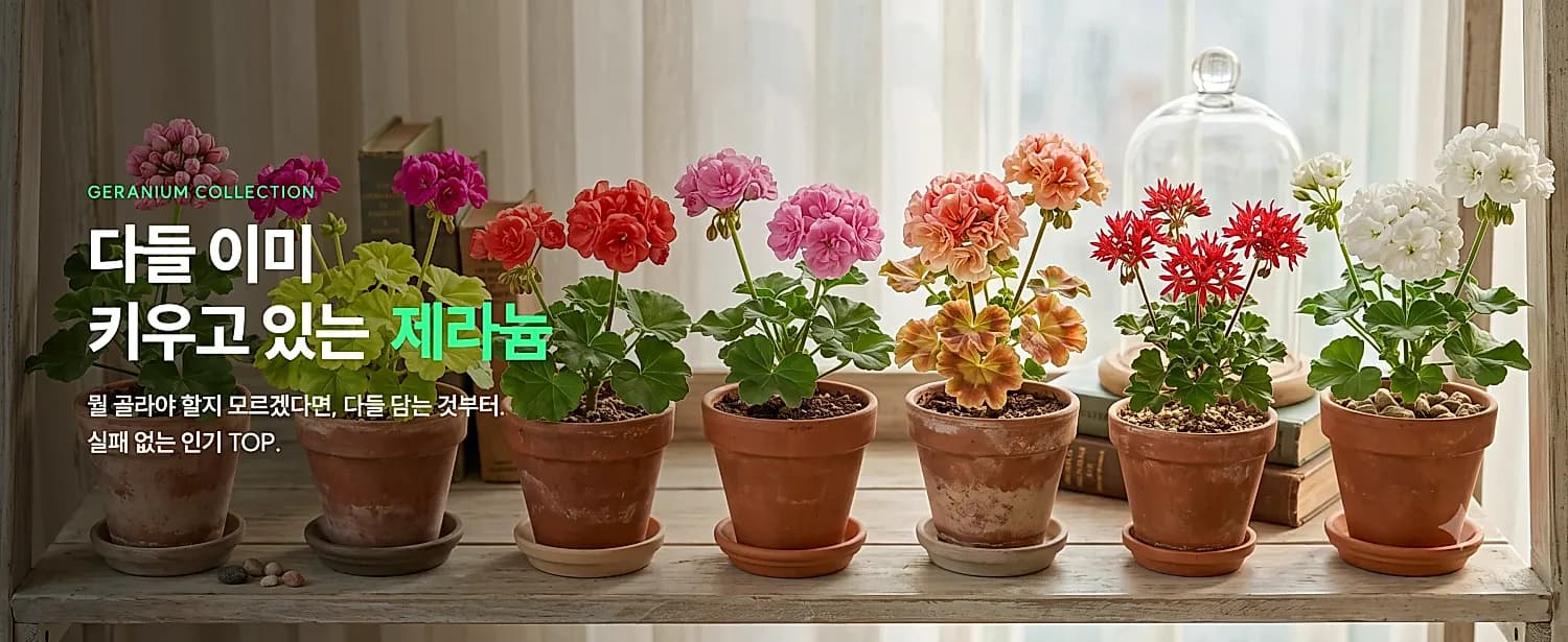 메인 배너 4