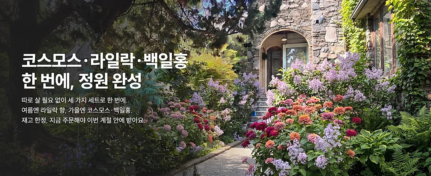 메인 배너 11