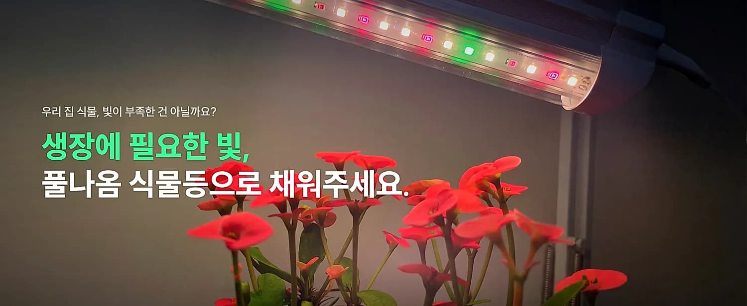 메인 배너 9