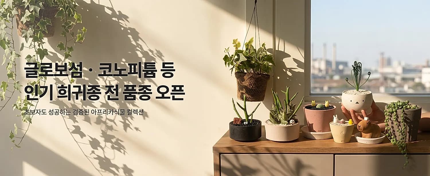 메인 배너 3